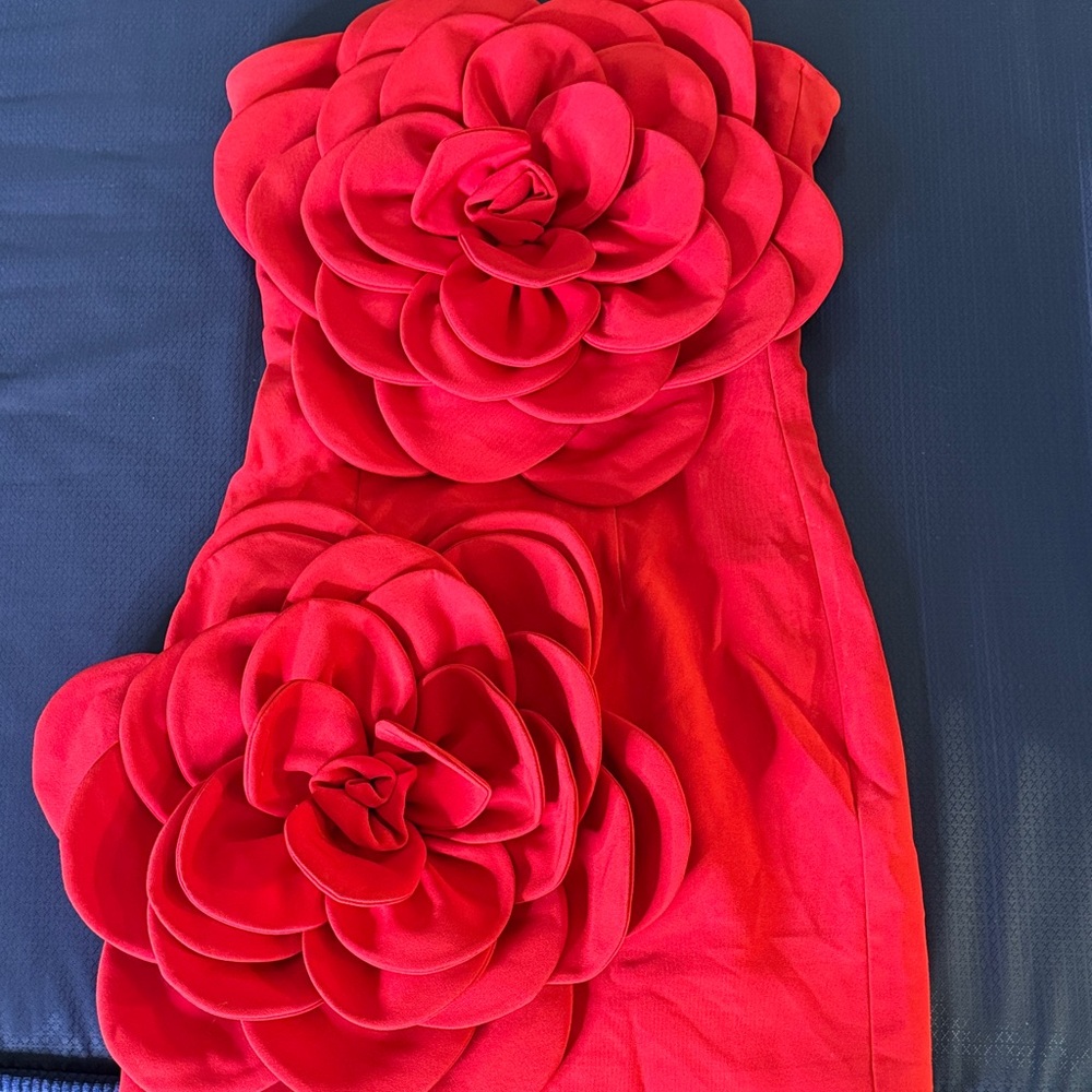 Elegant Red Floral Mini Dress